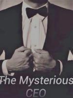 The Mysterious CEO