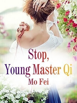 Stop, Young Master Qi