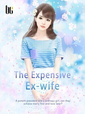 The Expensive Ex-wife