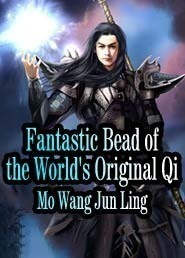 Fantastic Bead of the World's Original Qi