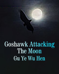 Goshawk Attacking The Moon