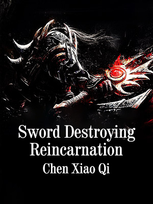Sword Destroying Reincarnation