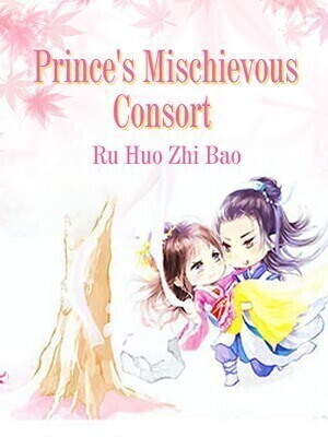 Prince's Mischievous Consort