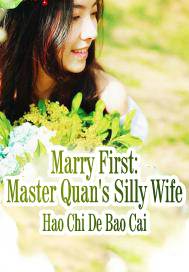 Marry First: Master Quan's Silly Wife