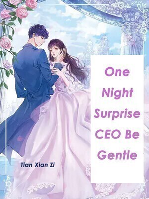 One Night Surprise: CEO, Be Gentle