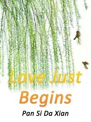 Love Just Begins