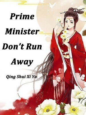 Prime Minister, Don't Run Away