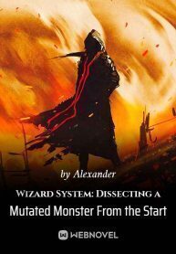 Wizard System: Dissecting a Mutated Monster From the Start