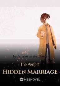 The Perfect Hidden Marriage