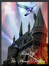 Rise Of House Falken (Harry Potter Fan Fiction)