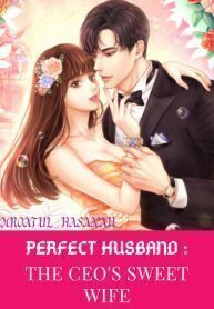 Perfect Husband : The CEO's Sweet Wife