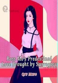 Boss Mo's Predestined Love Brought by Surrogacy