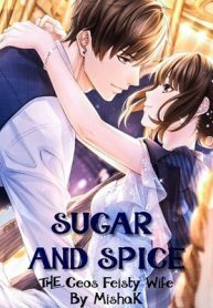 Sugar and Spice: The CEO's Feisty Wife