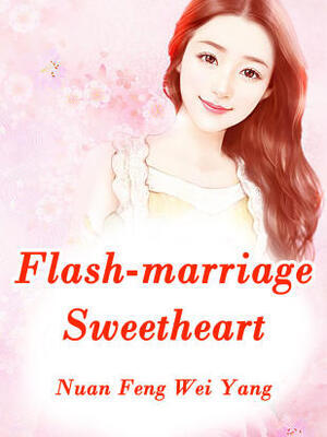Flash-marriage Sweetheart